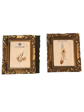 Jerusalem Bethlehem Flowers from Holy Land Set Gold Ornate Picture Frames 3x4x1